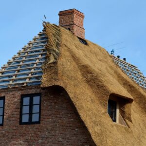 Curso de Construcción de Losas y Techos